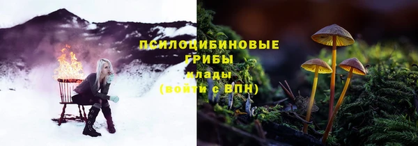 хмурый Алексеевка